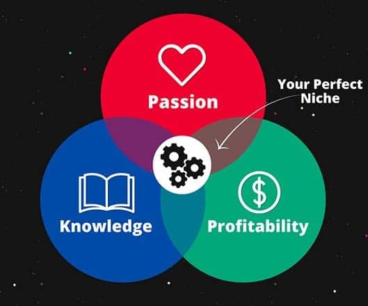 blogging Niche blogging Niche